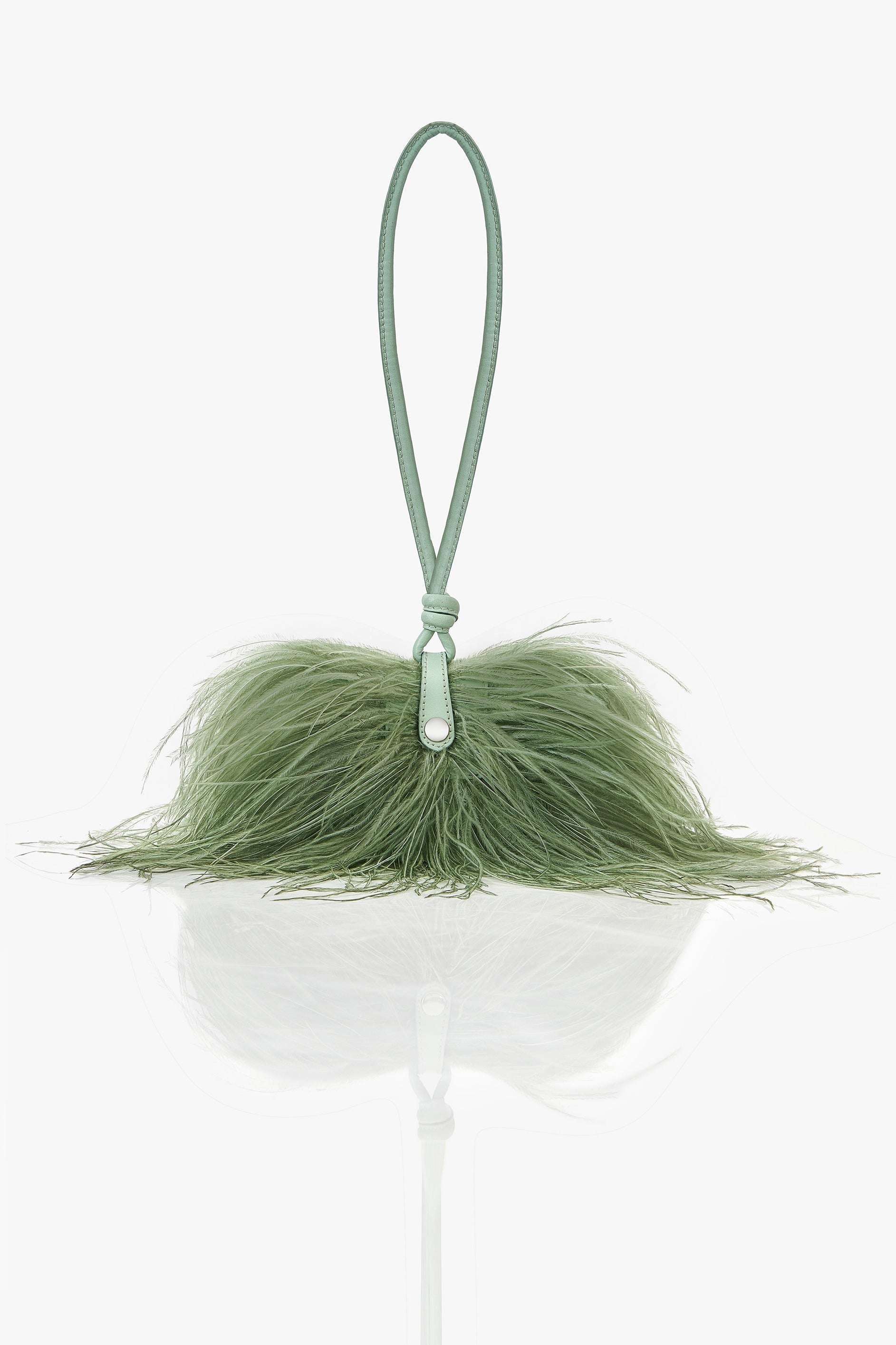 The Scarlet Minivet in Jade Green