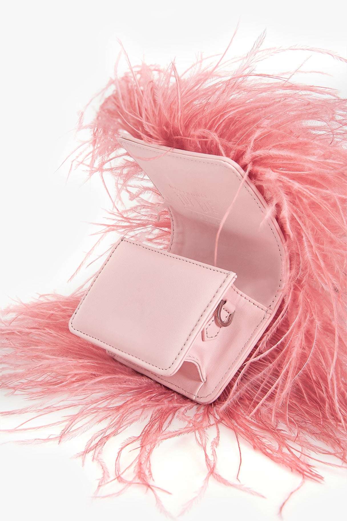 The Scarlet Minivet in Ostrich Pink