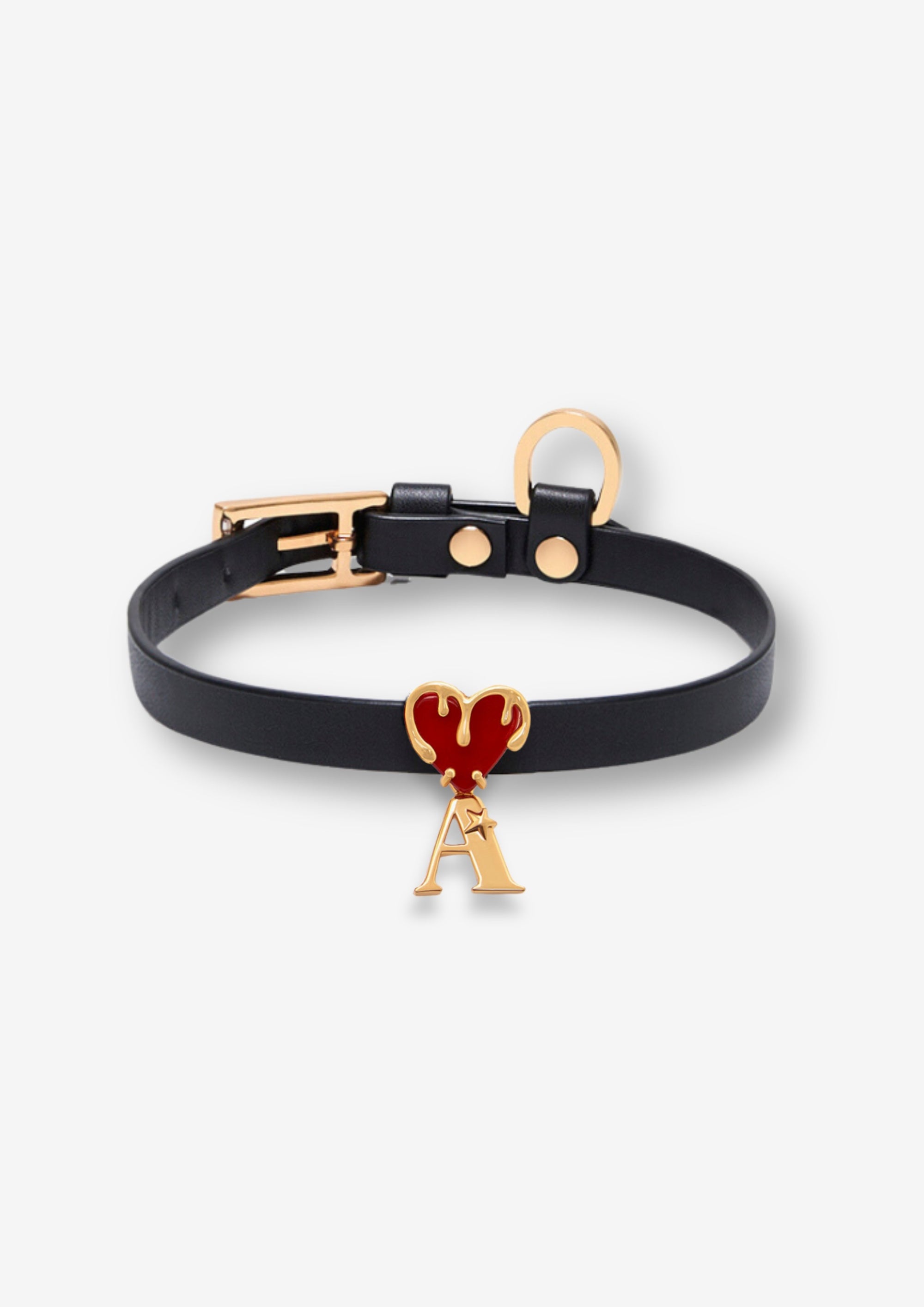 Designer Pet Collar