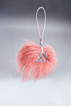The Scarlet Minivet in Ostrich Pink