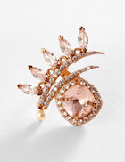 The Seine Ring