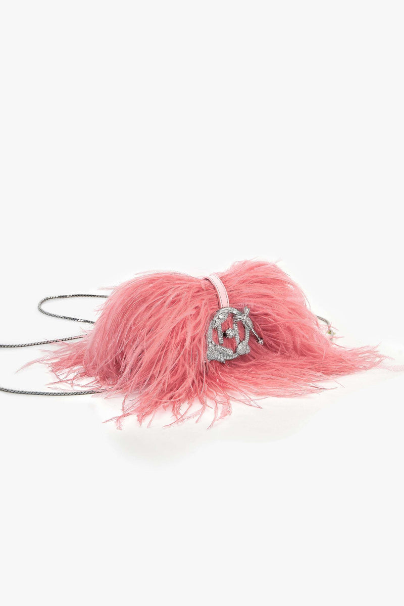 The Scarlet Minivet in Ostrich Pink