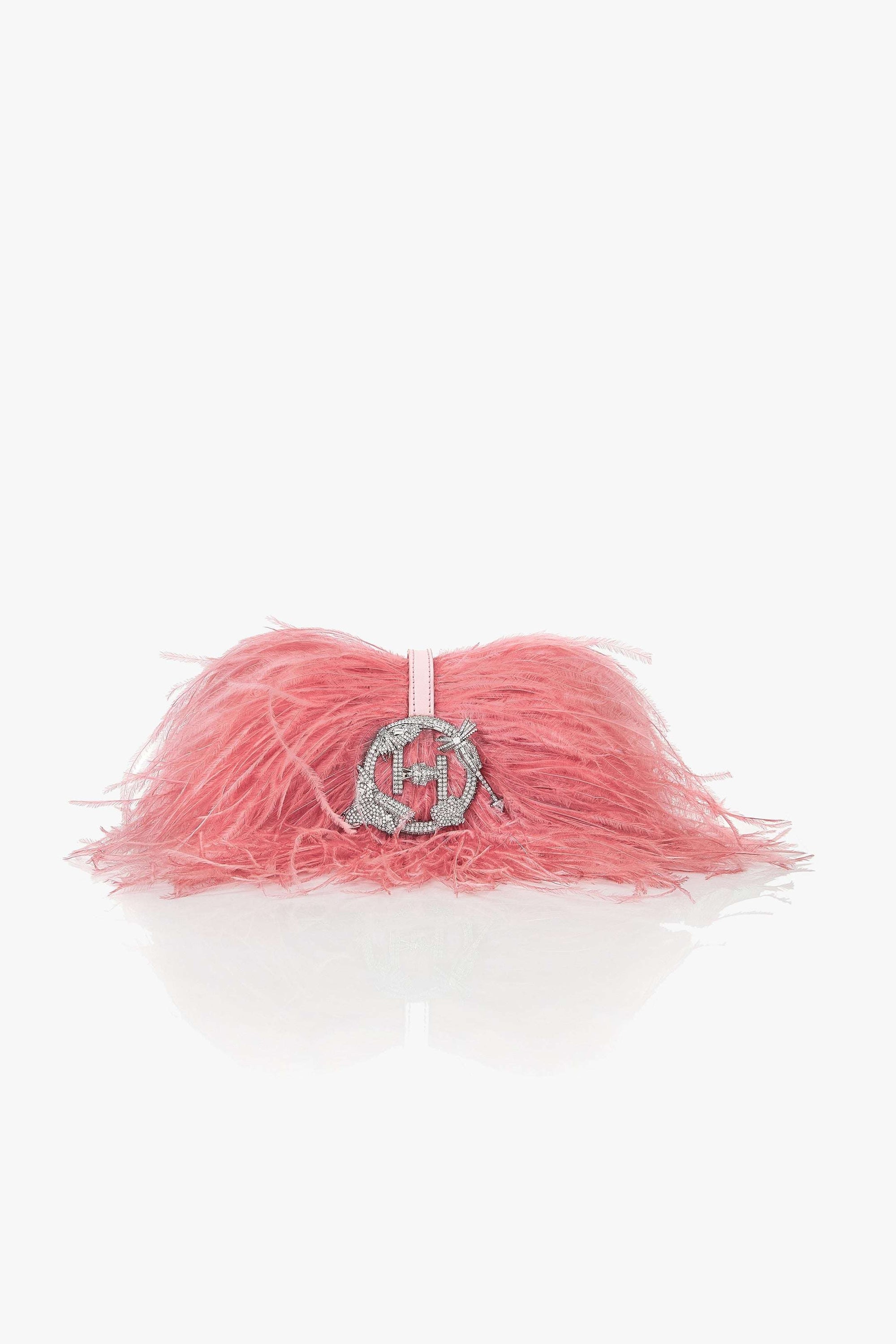 The Scarlet Minivet in Ostrich Pink