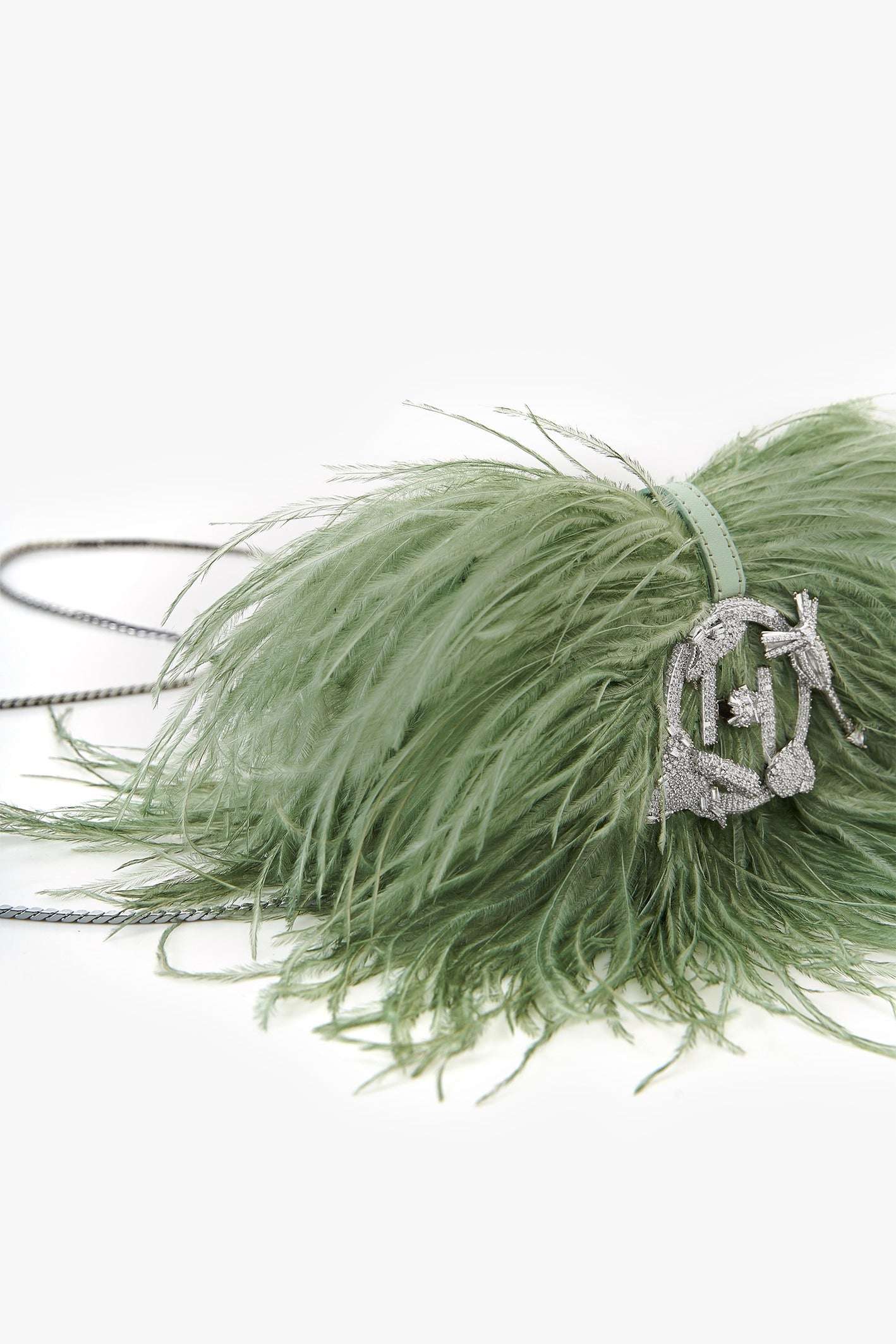 The Scarlet Minivet in Jade Green