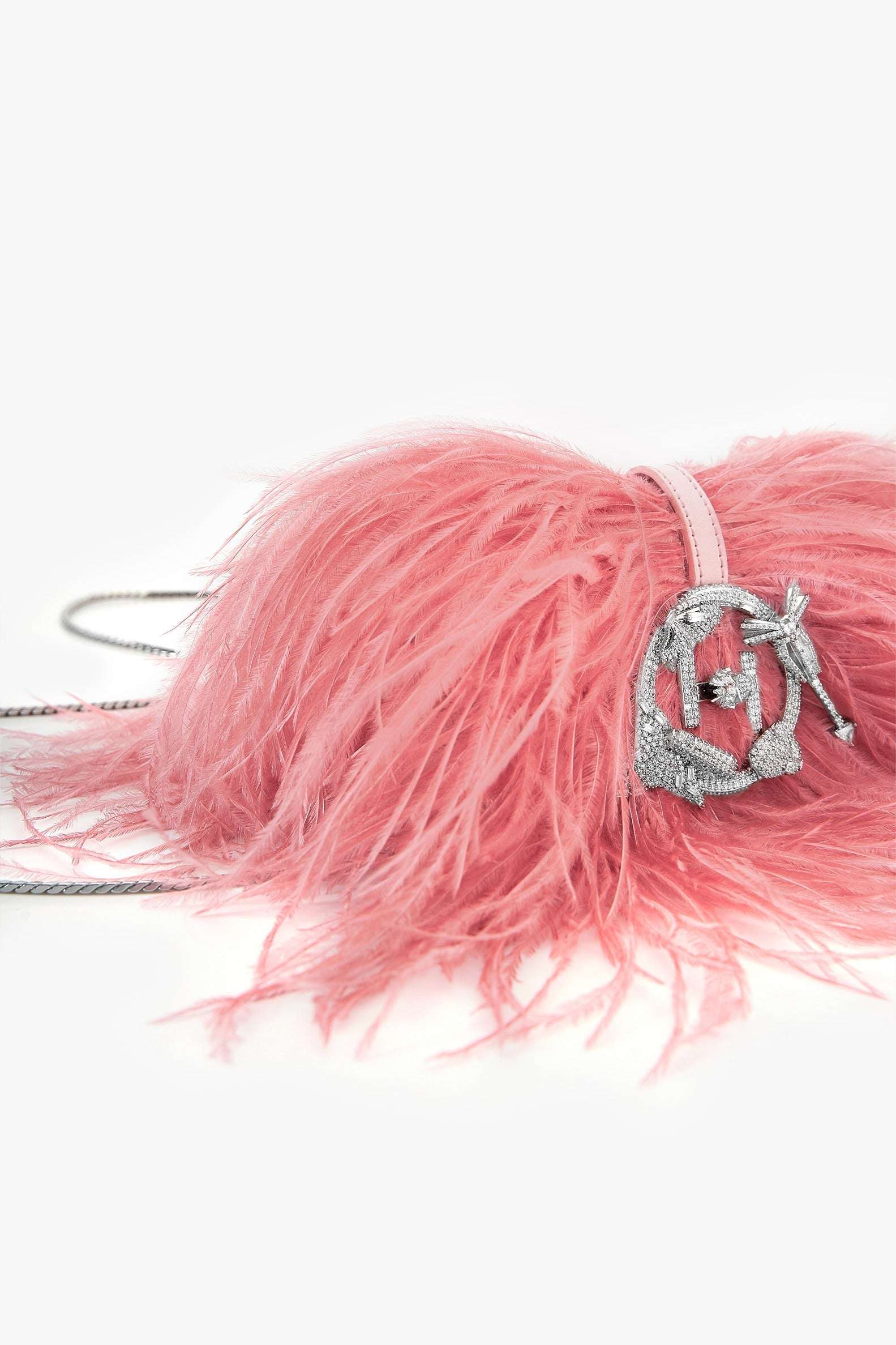 The Scarlet Minivet in Ostrich Pink