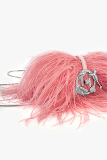 The Scarlet Minivet in Ostrich Pink