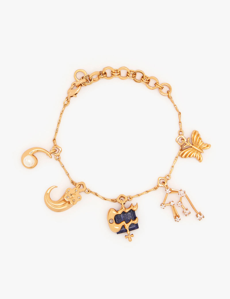 Aquarius Zodiac Sign Charm Bracelet 