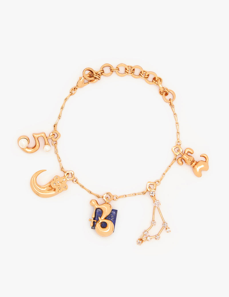 Capricorn Zodiac Sign Charm Bracelet
