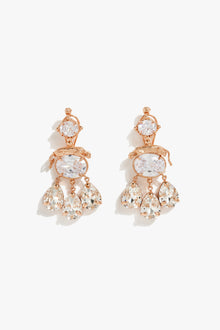Leopard Crystal Drop Earrings
