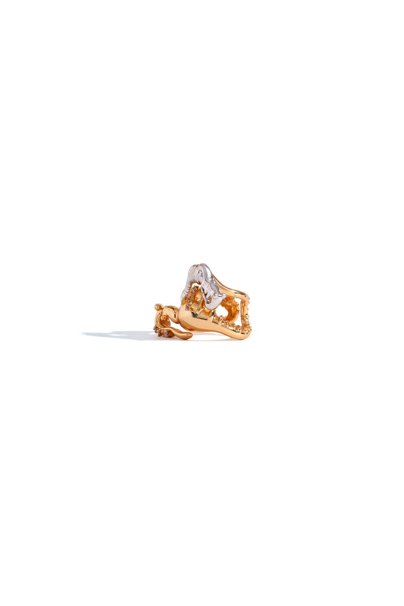 Seanymph Dual Tone Arc Ring