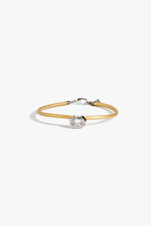 The Confessions Choker in Champagne Kiss