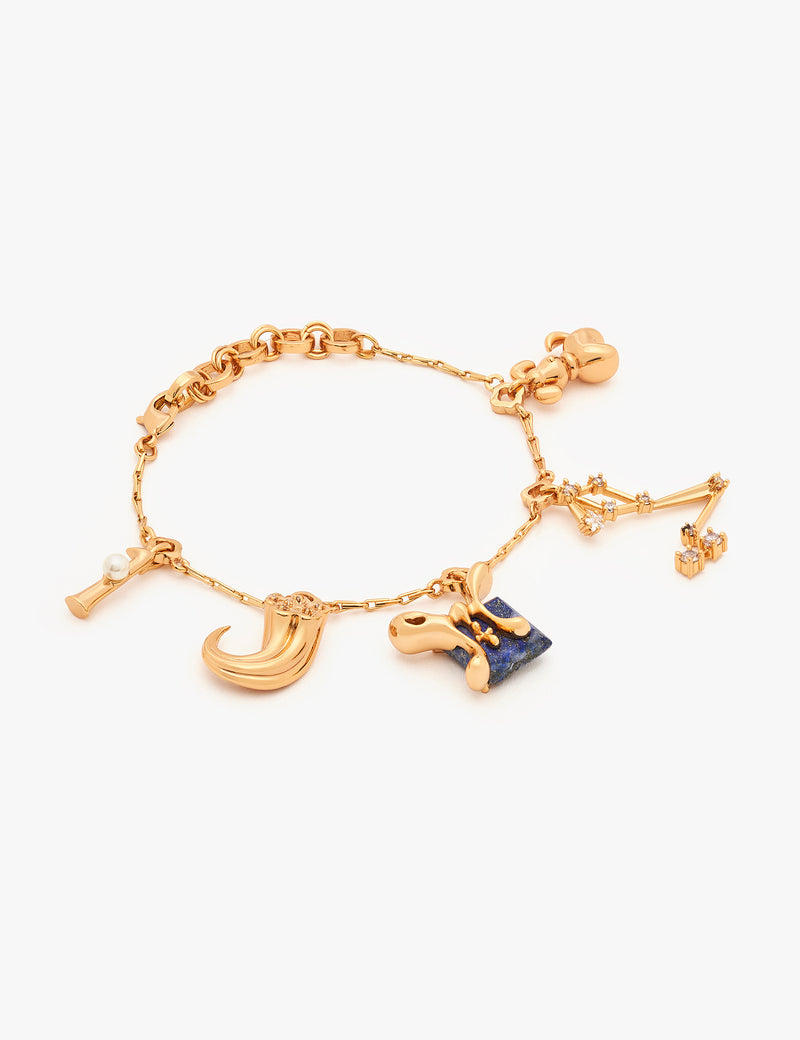 Pisces Zodiac Sign Charm Bracelet