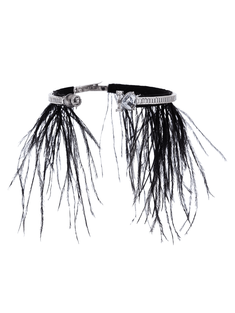 Choker necklace with  & Feathers