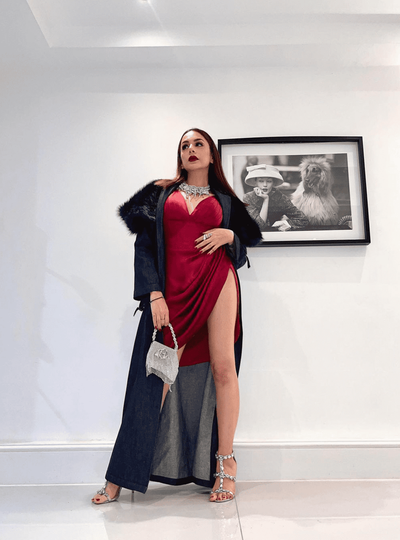 Nitibha Kaul Handbag