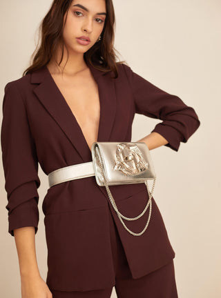 Silver Bag With Belt And Sling