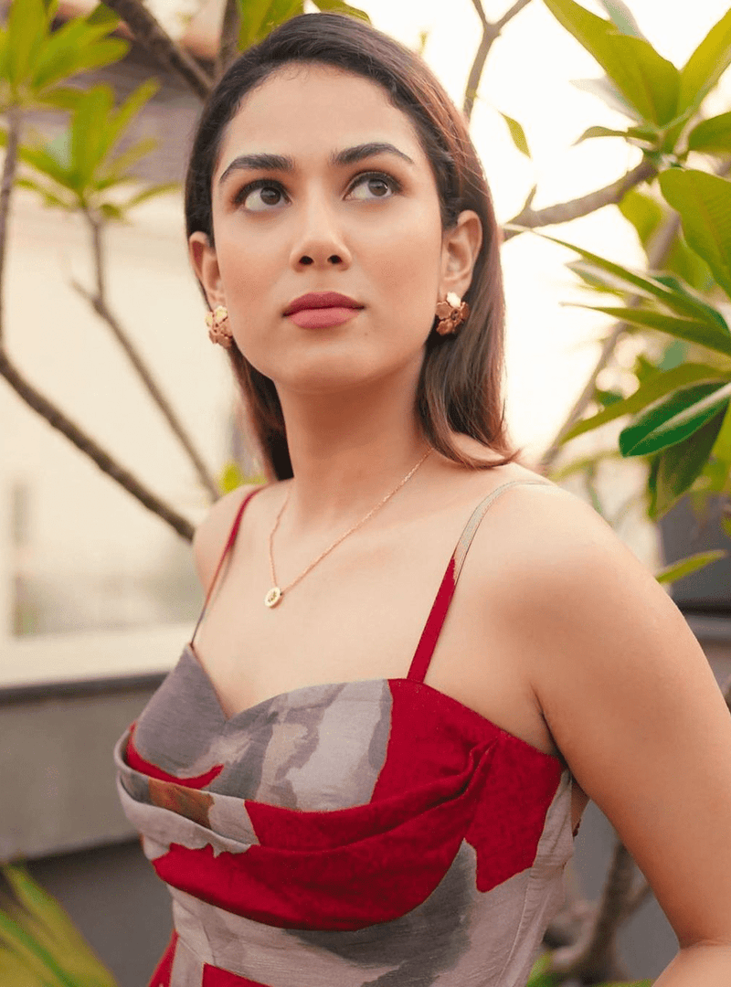 Mira Rajput Kapoor Stud Earrings 